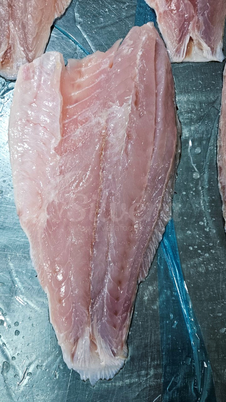 Fresh barramundi fillet