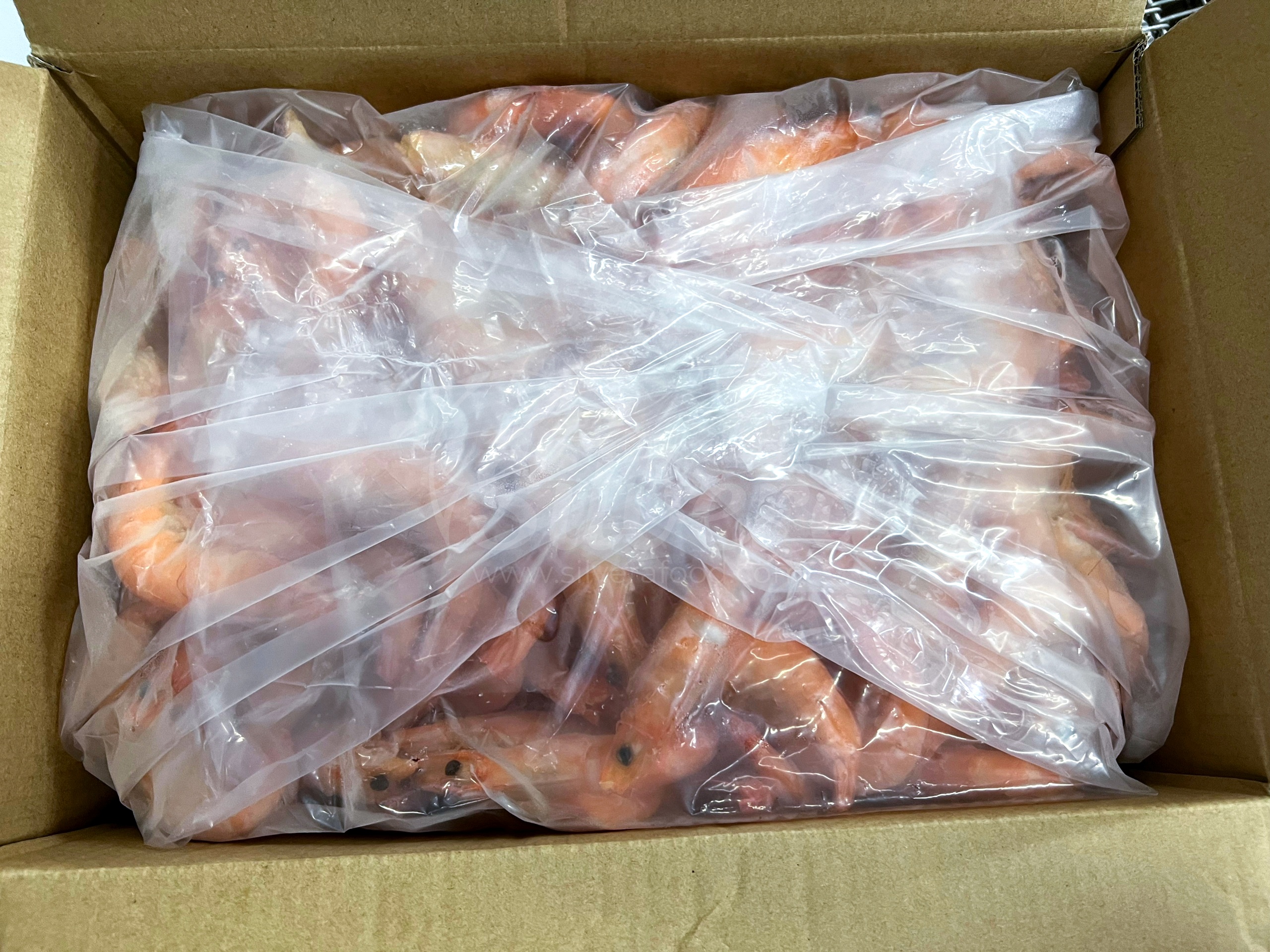 Frozen cooked HOSO vannamei