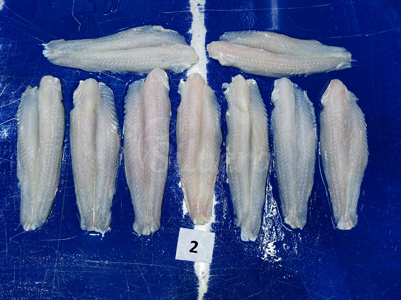 Pangasius fillets