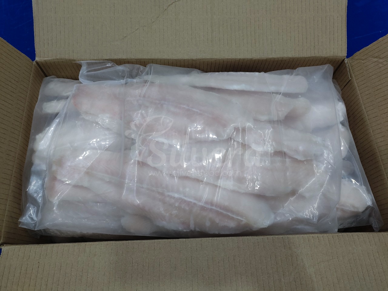 Pangasius fillet carton