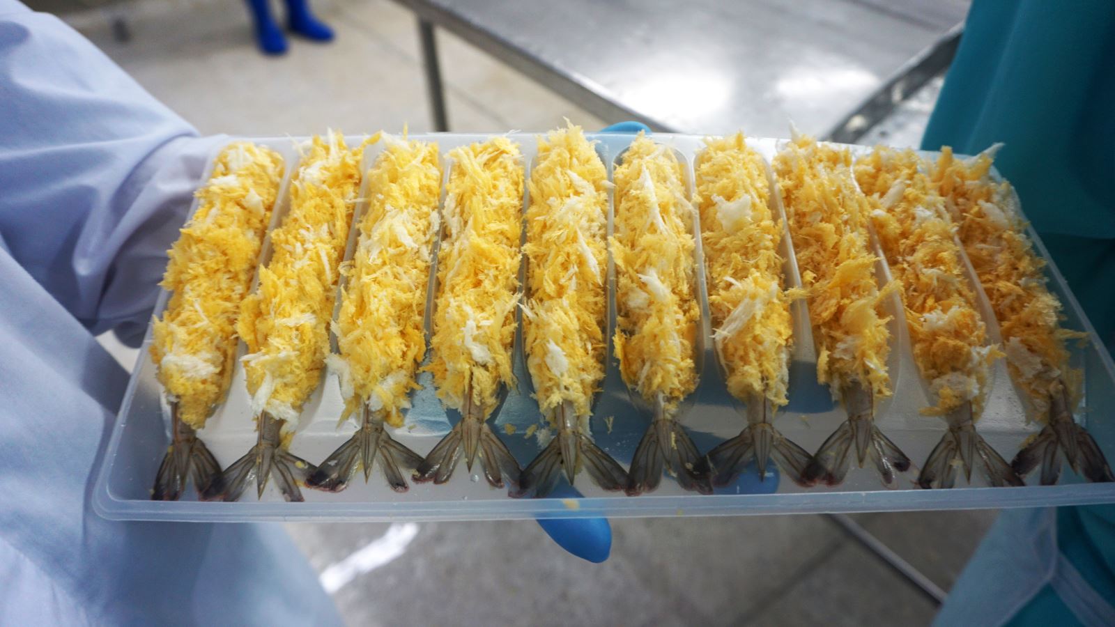 Raw Torpedo Vannamei Shrimp For The Japanese Market. Credit: Silvera Food​