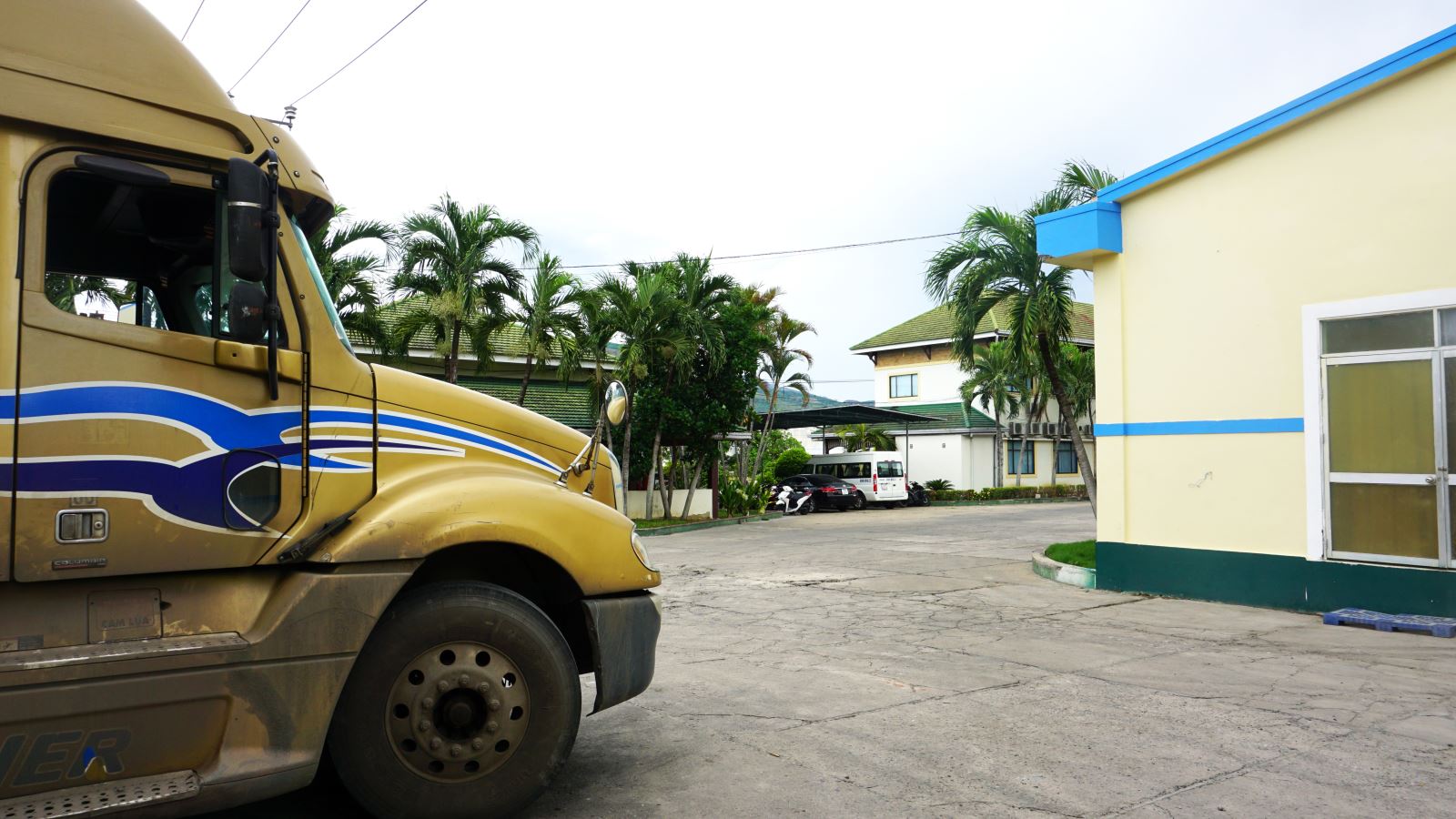 A Factory Located In Suoi Dau Industrial Zone Located In Central Vietnam Supplying BAP Vannamei Shrimp. 