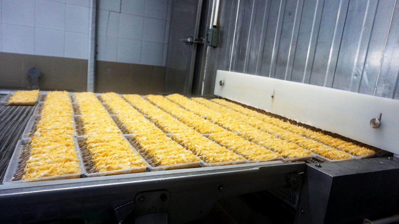 Raw Torpedo Vannamei Shrimp Going Through IQF Tunnel Freezer. Credit: Silvera Food